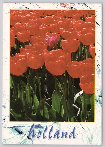 Cartolina collezione fiori - cartolina,