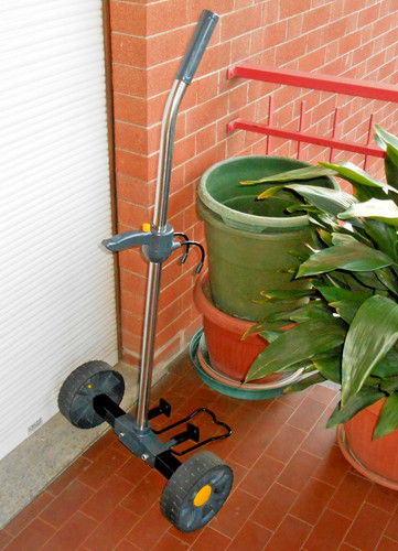 Carrello porta vasi - carrello,