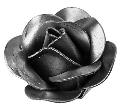 Rosa ferro battuto - ferro, fiore