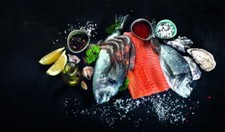 PVC Fish Print Induction