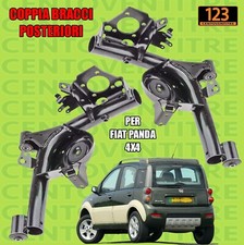 COPPIA BRACCI  POSTERIORI