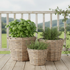Vaso per piante in rattan in