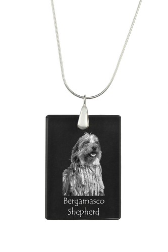 Cane pastore bergamasco - cane,