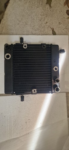 Radiatore honda foresight 250 - radiatore,