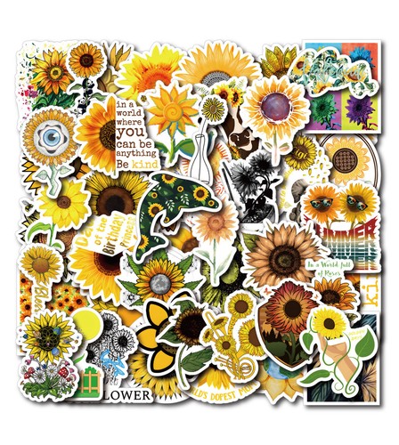 Girasole helianthus - girasole,