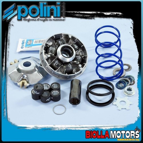 241 748 variatore - 241.748, polini