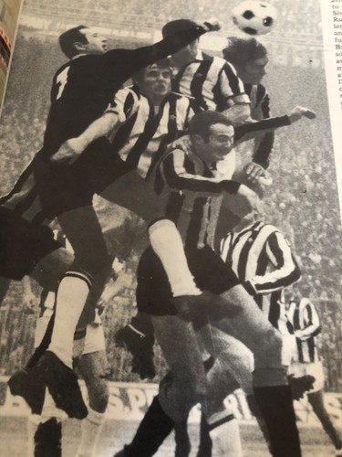 Prima grande enciclopedia - grande, del