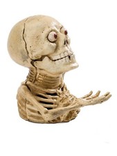 Salvadanaio scheletrico