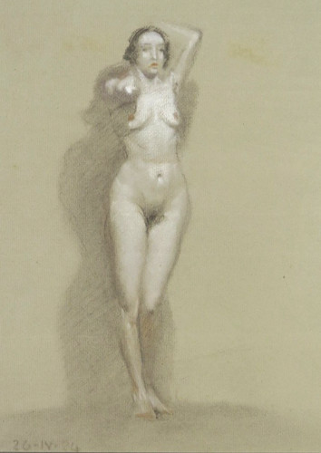 Ritratto femminile disegno - ritratto,
