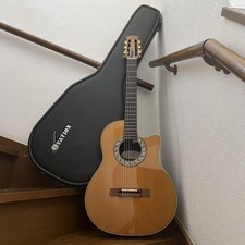 Electric Acoustic Guitar
