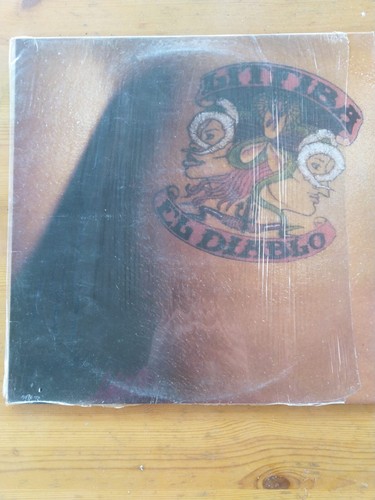 Lotto vinili giri litfiba - vinili, 33