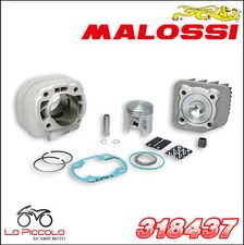 318437 GRUPPO TERMICO MALOSSI