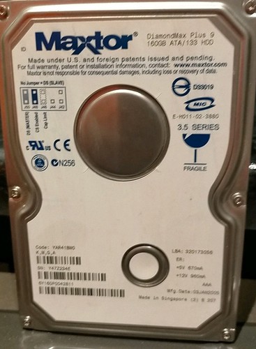 6y160p0042811 diamondmax - 6y160p0042811,