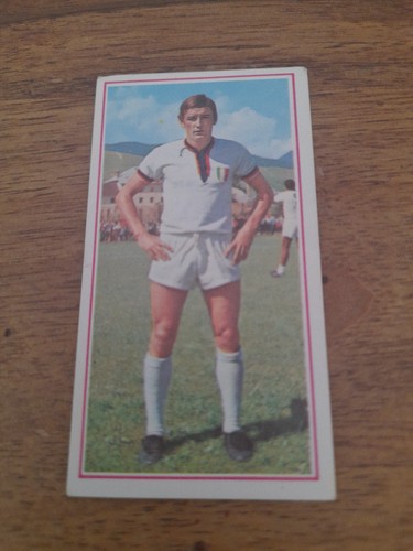 Figurina calciatori panini - calciatori,