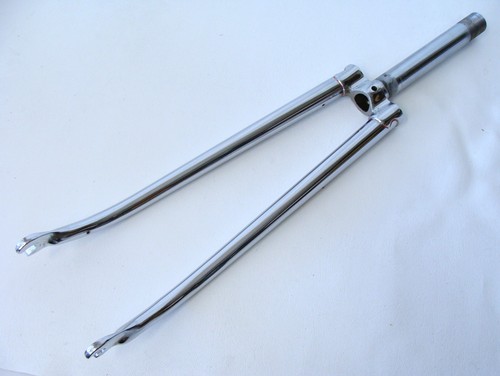 Rara forcella cingolata - ~,