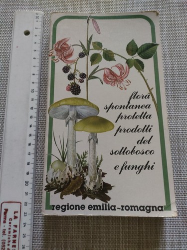 Libro flora spontanea - libro, "flora