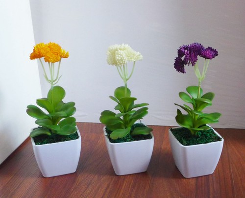 Piante succulente artificiali