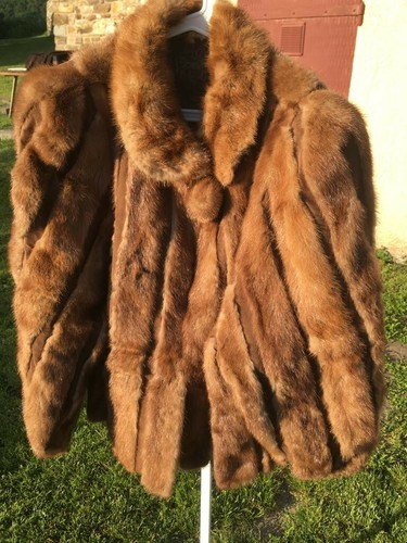 Pelliccia visone mink fur - pelliccia,