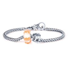 Trollbeads - Bracciale Start