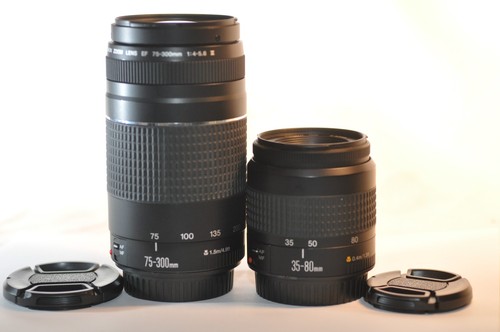 Set due obiettivi canon - set, ef