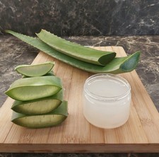 Foglie Aloe Vera fresche