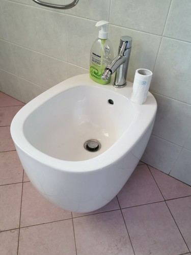 Coppia sanitari pozzi ginori - pozzi,