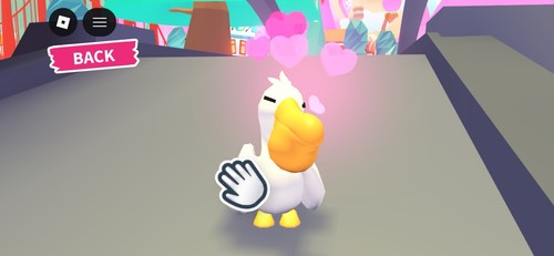 Adopt ultra rare pelican - me!,