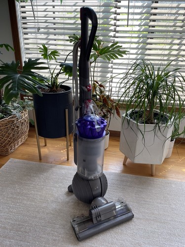 Dyson dc65 animal upright - dc65,