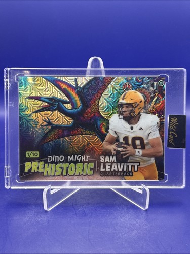 2024 wild card - wild,