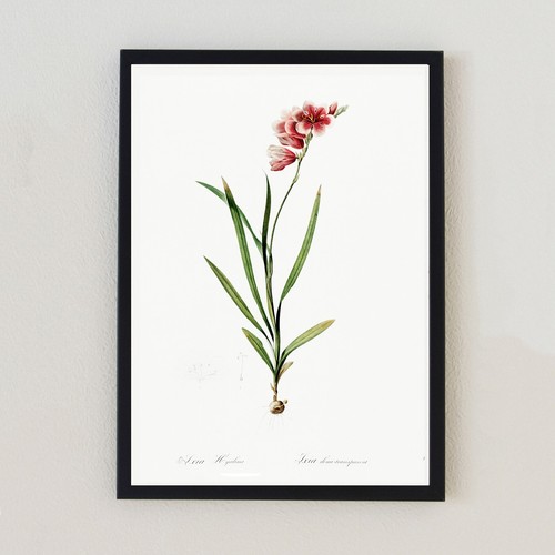 Illustrazione floreale vintage