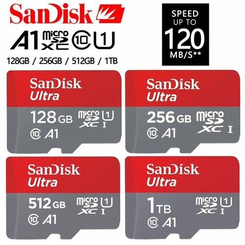 Scheda memoria sandisk - memoria,