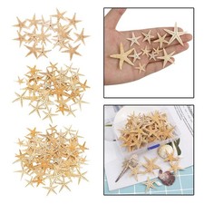 Stelle marine naturali - , per