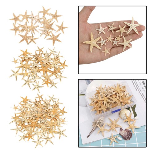 Stelle marine naturali - , per