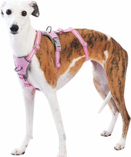 Pettorina Antifuga Cane