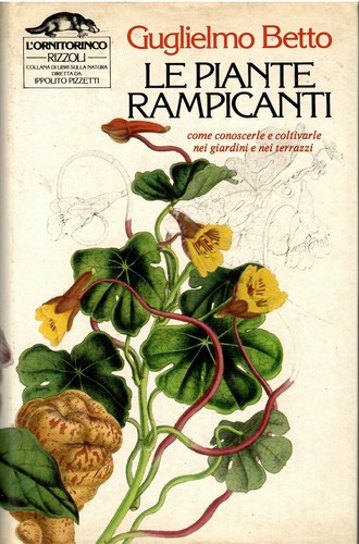 Piante rampicanti - piante,