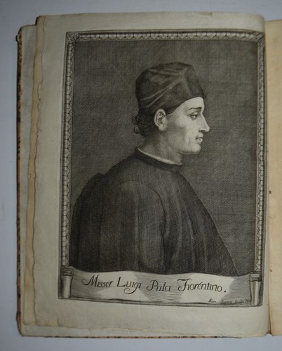 Morgante maggiore fig - maggiore,