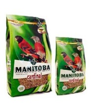 Misto manitoba cardinal kg - cardinal,