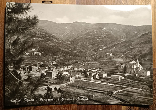 1958 calice ligure - 1958,