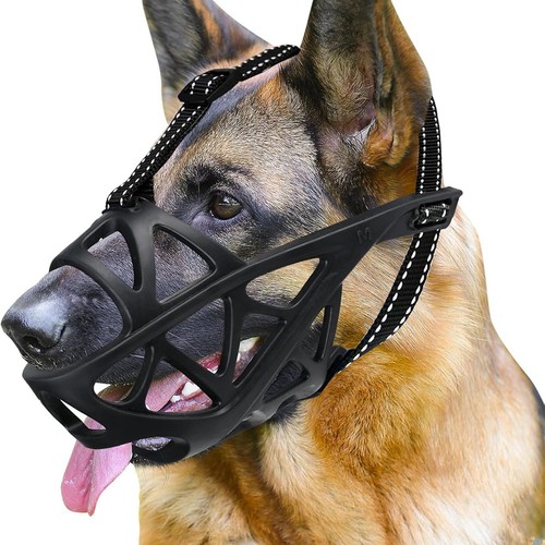 Muszza doge - 2x(muszza,
