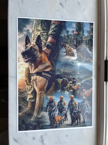 Stampa marina militare k9 - a4,