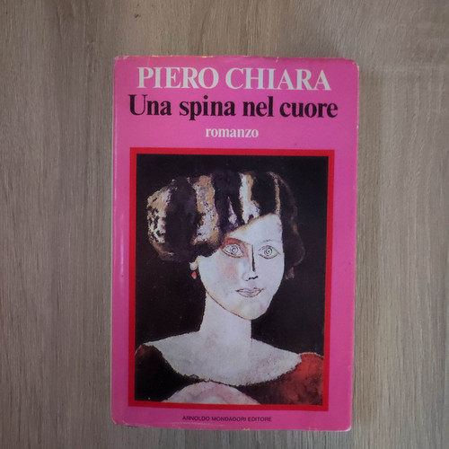 Libro romanzo una spina nel - romanzo,