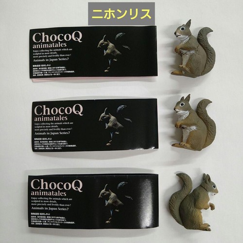 Scoiattolo giapponese choco - giapponese, q