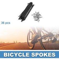 Raggi Bici Bicicletta 14G