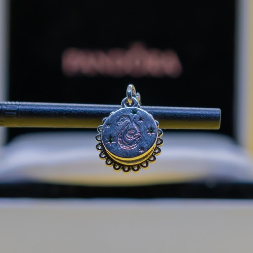 Charm pandora harry potter - harry,
