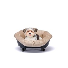 Cuccia gatto interno con - gatto,