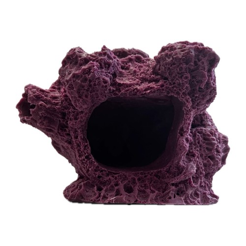 Barnacle sandbed fori - sandbed,