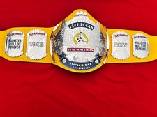 Custom Hulk Hogan Hulkamania