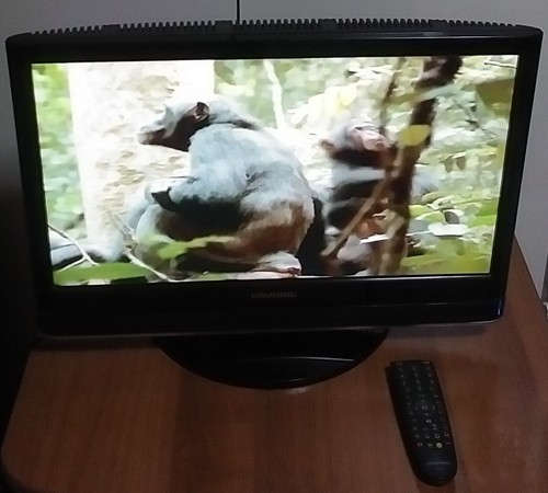 Grundig vision con dvd - grundig,