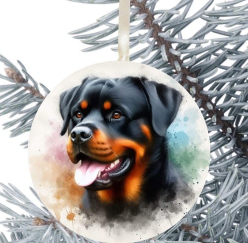 Rottweiler cucciolo cane - rottweiler,