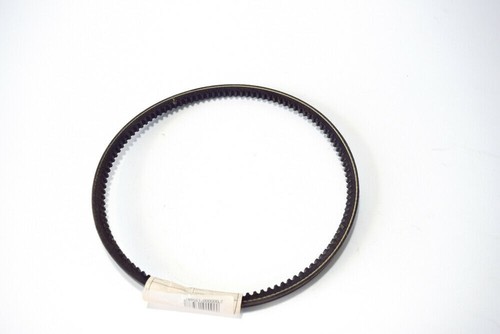 Cinghia alternatore servizi - cinghia,